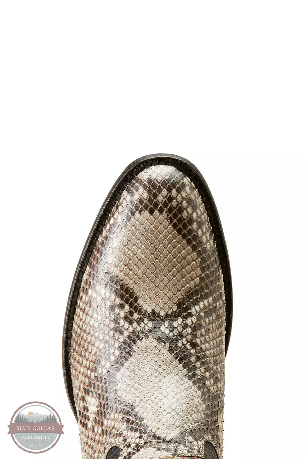 Ariat 10047082 Slick Cowboy Boot in Natural Python Toe View