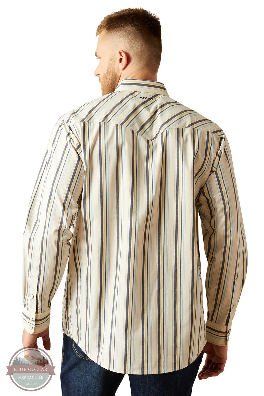 Ariat 10054659 Finnley Snap Stripe Long Sleeve Shirt, rear