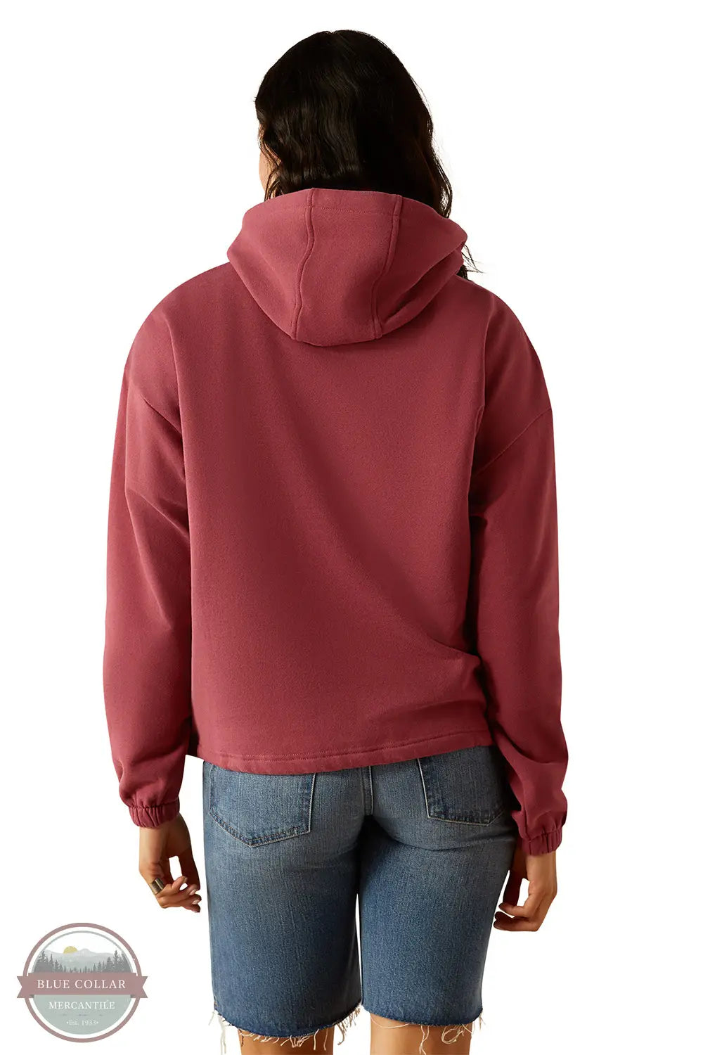 Ariat 10055029 Essential Cactus Logo Hoody in Pink, rear