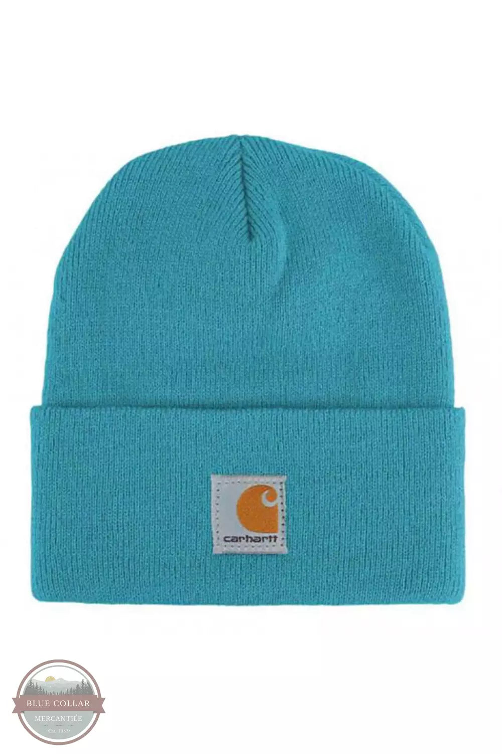 Carhartt CB8905 Kids' Acrylic Watch Hat Blue Moon Front View