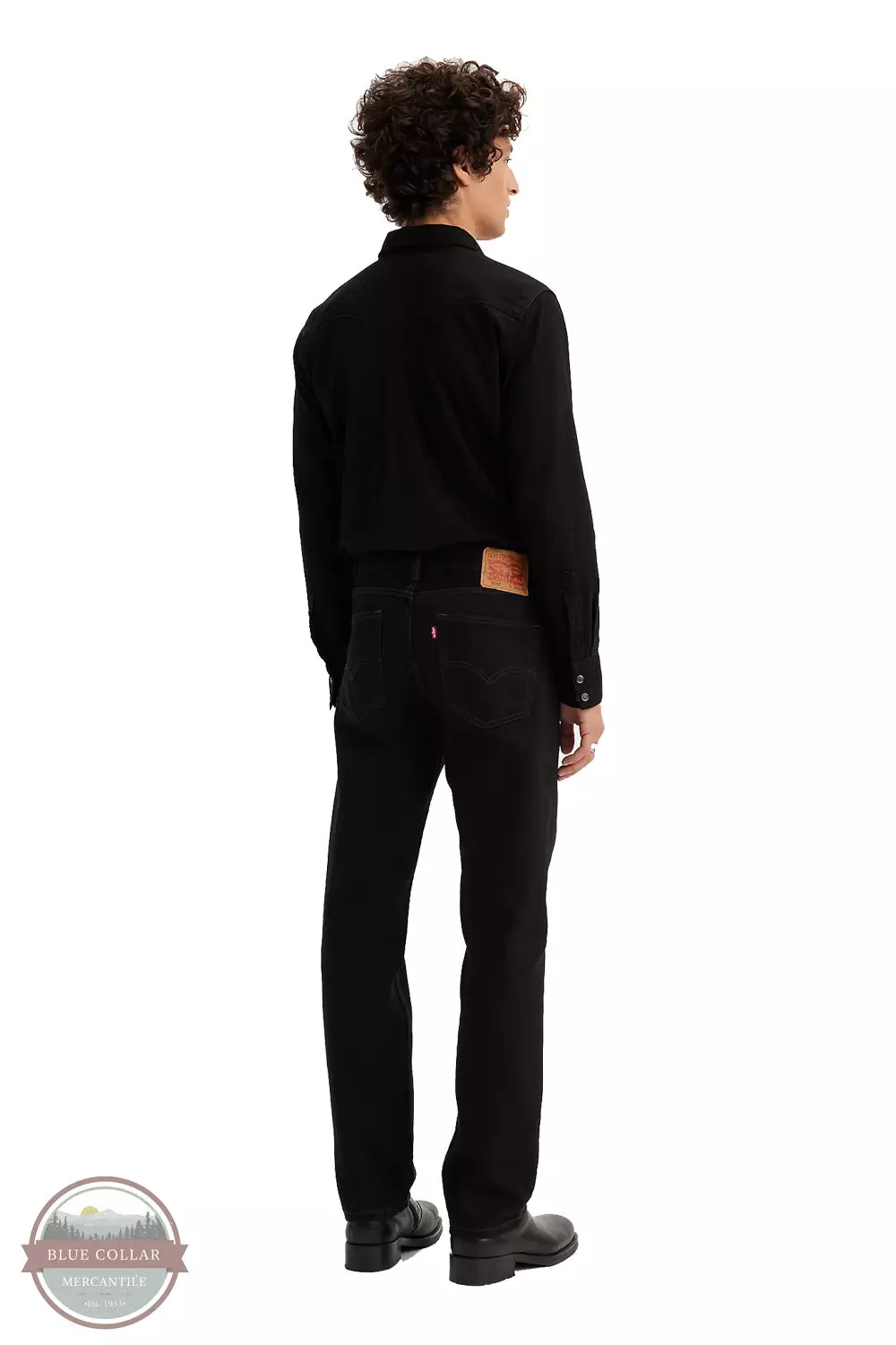 Levi's 505-0260 505 Regular Fit Straight Leg Jeans in Black Back View