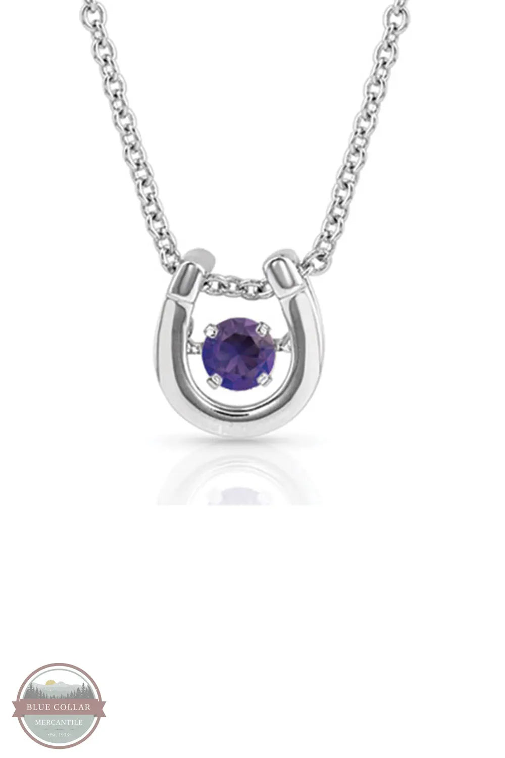 Montana Silversmiths NC4742 Dancing Birthstone Horseshoe Necklace February