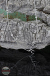 Montana Silversmiths SLKTNC3288 Pursue the Wild Starry Antler's Grace Necklace scenic
