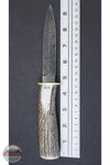 Silver Stag DDG5.0 Damascus Dagger ruler