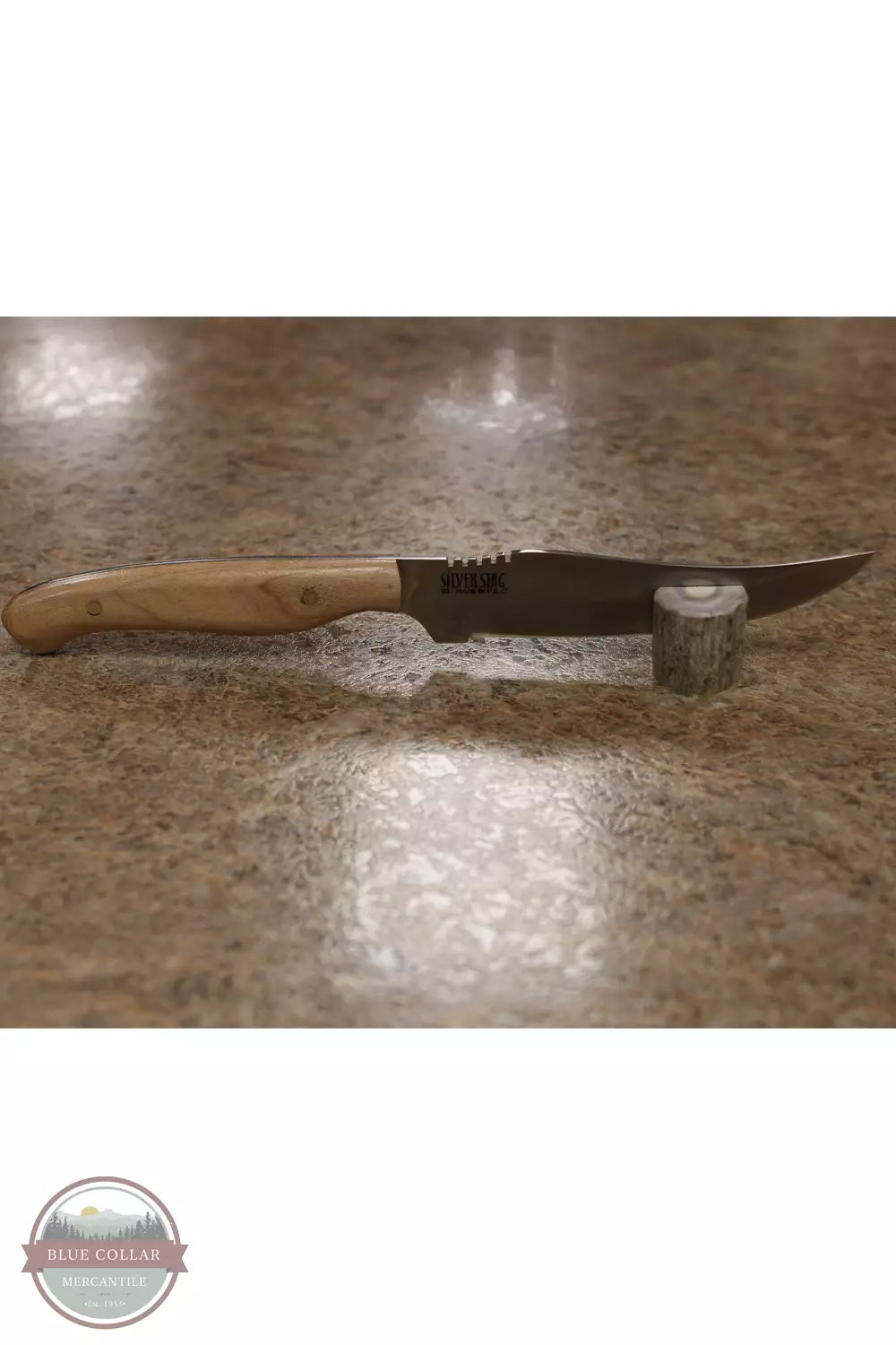 Silver Stag WPB4.25M Pro Bone Knife with Burled Maple Handle Profile View