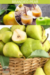 Warm Glow Candle BRAPEAMH Brandied Pear Mini Hearth Candle General Scent View