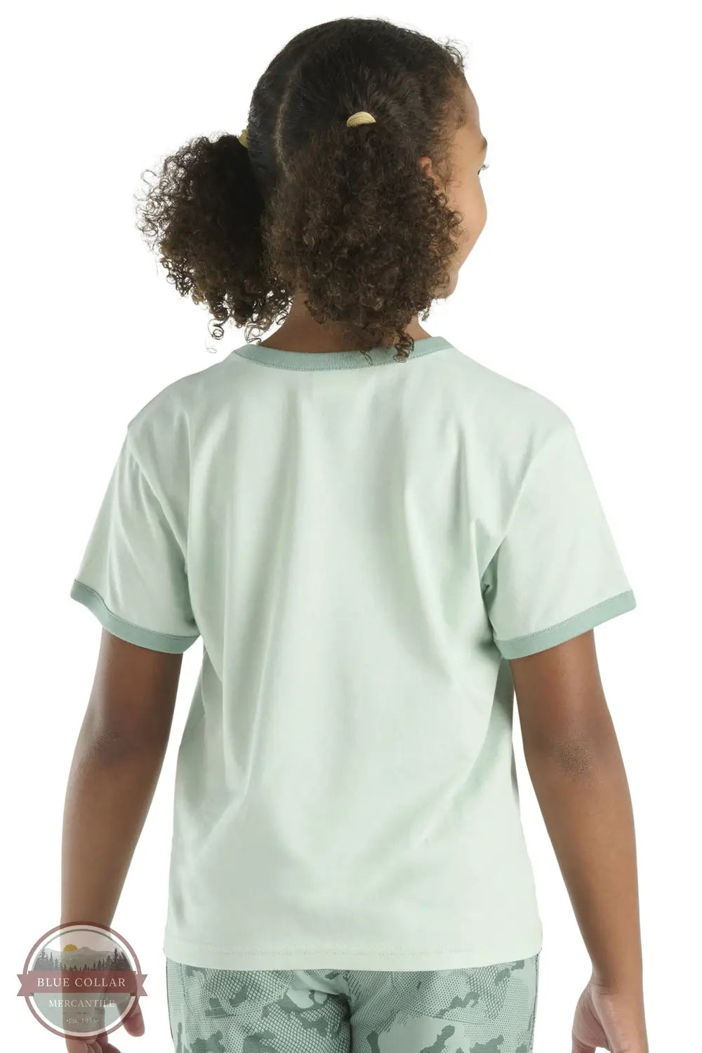 Carhartt CA7110 Short Sleeve Ringer Logo T-Shirt in green, rear