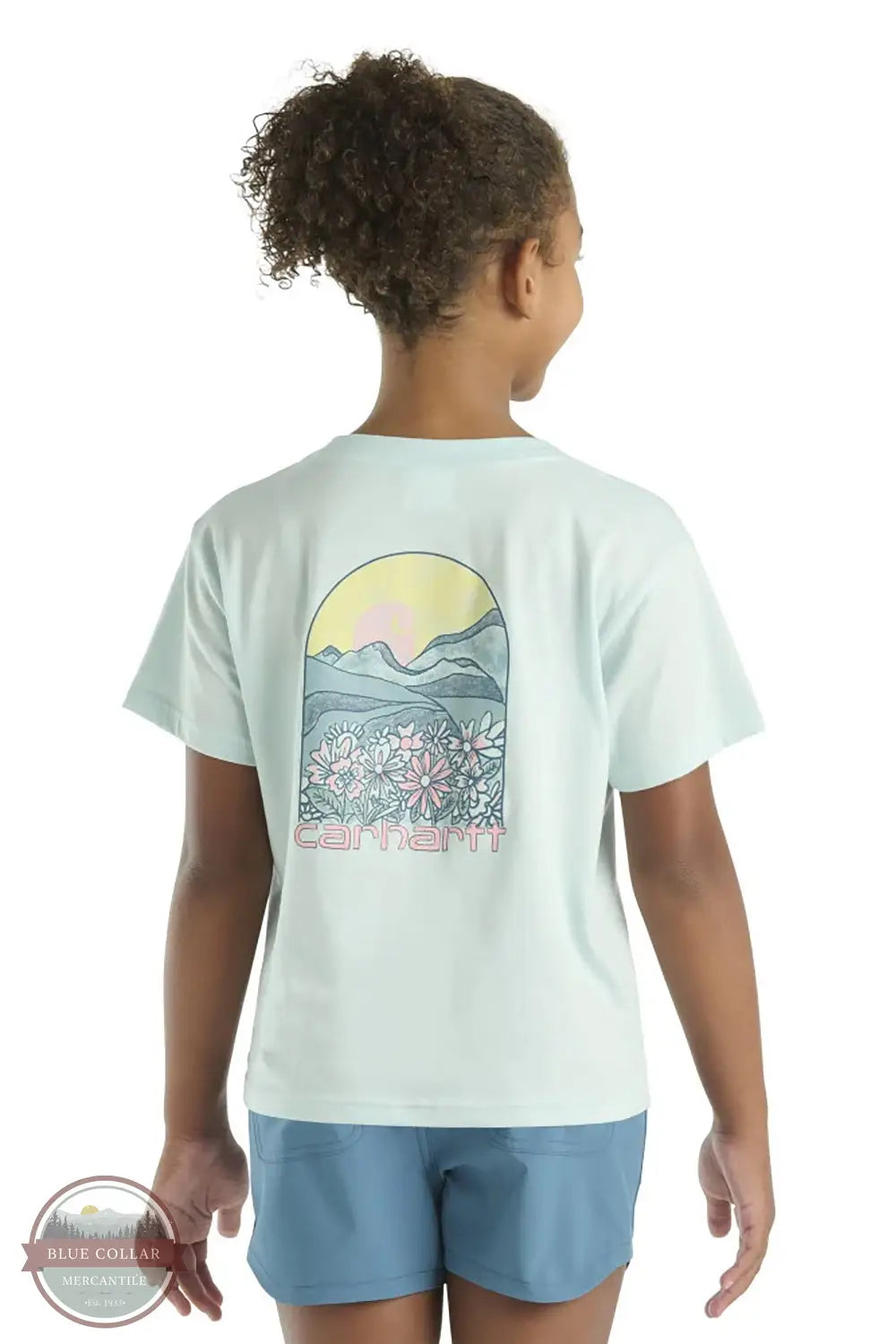 Carhartt CA7114-B348 Meadow Arch Short Sleeve T-Shirt in Blue, rear