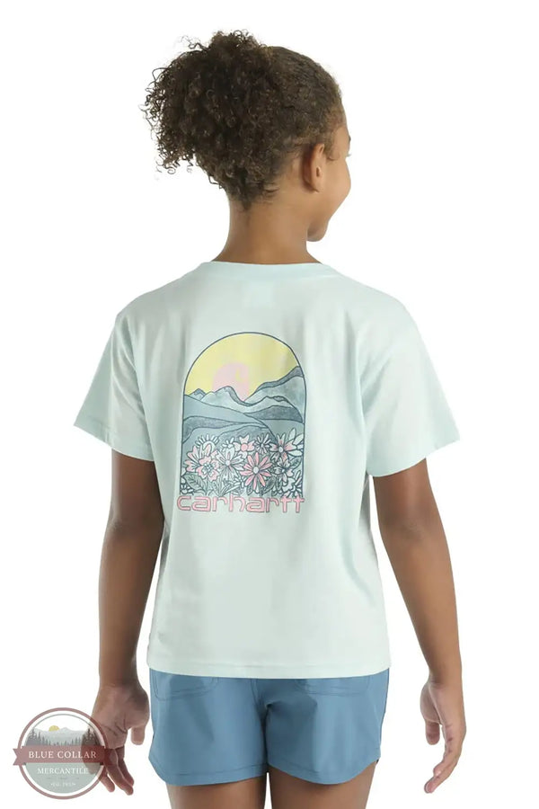Carhartt CA7114-B348 Meadow Arch Short Sleeve T-Shirt in Blue, rear