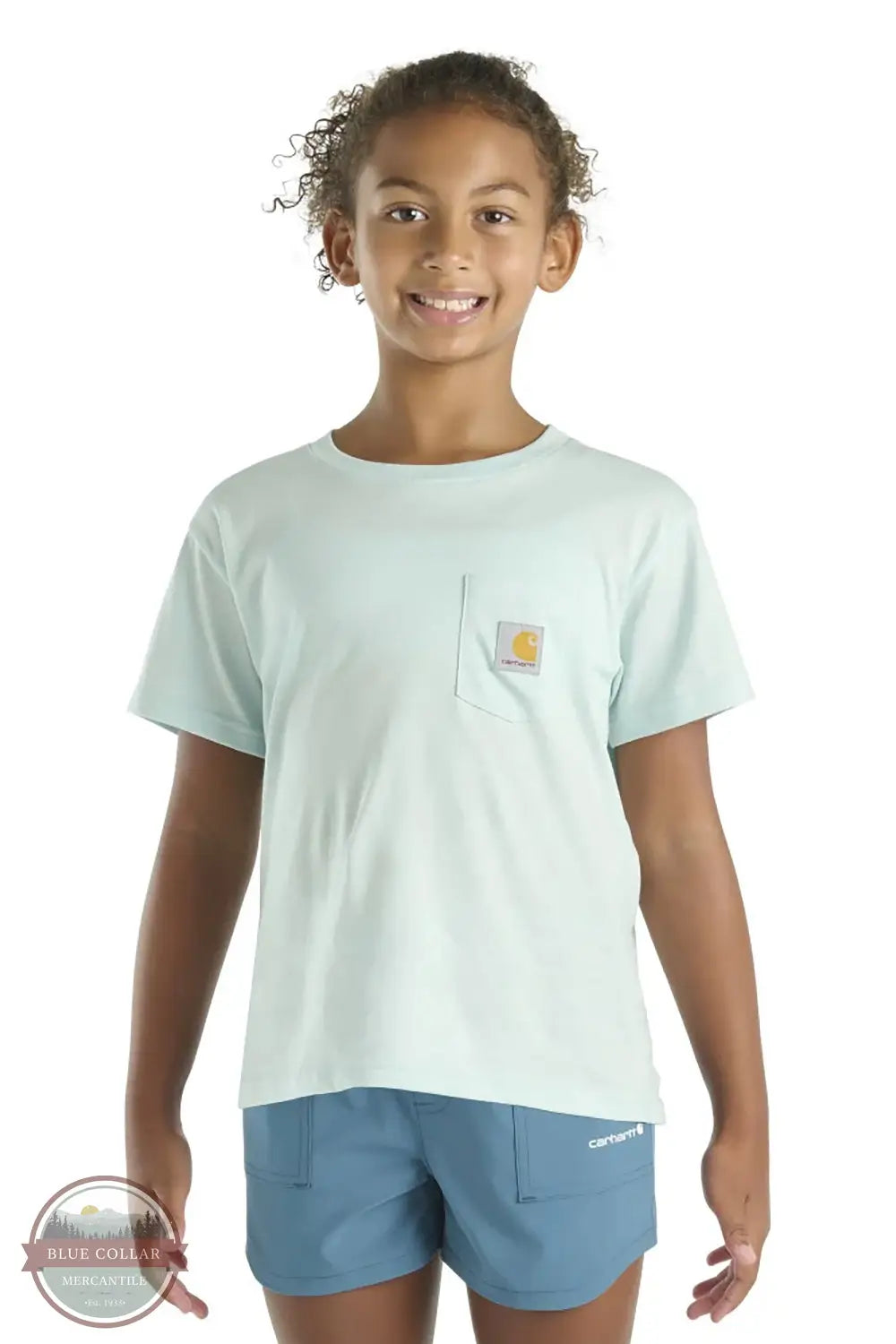 Carhartt CA7114-B348 Meadow Arch Short Sleeve T-Shirt in Blue, front