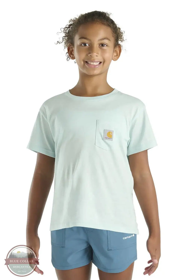 Carhartt CA7114-B348 Meadow Arch Short Sleeve T-Shirt in Blue, front