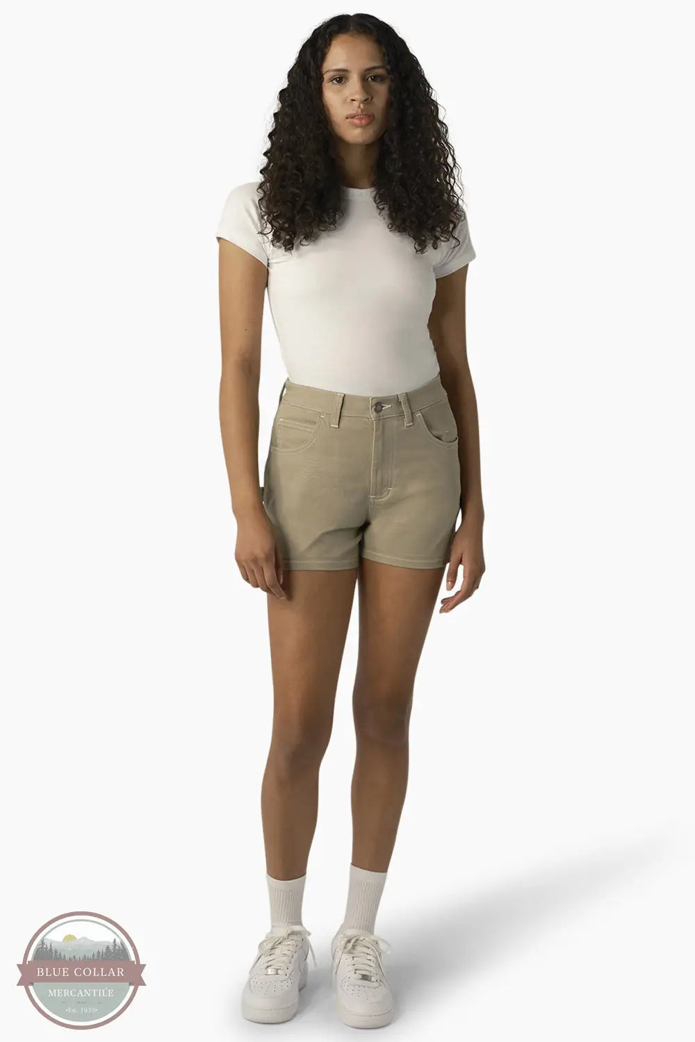 Dickies FRR50ST Carpenter Short 2.5