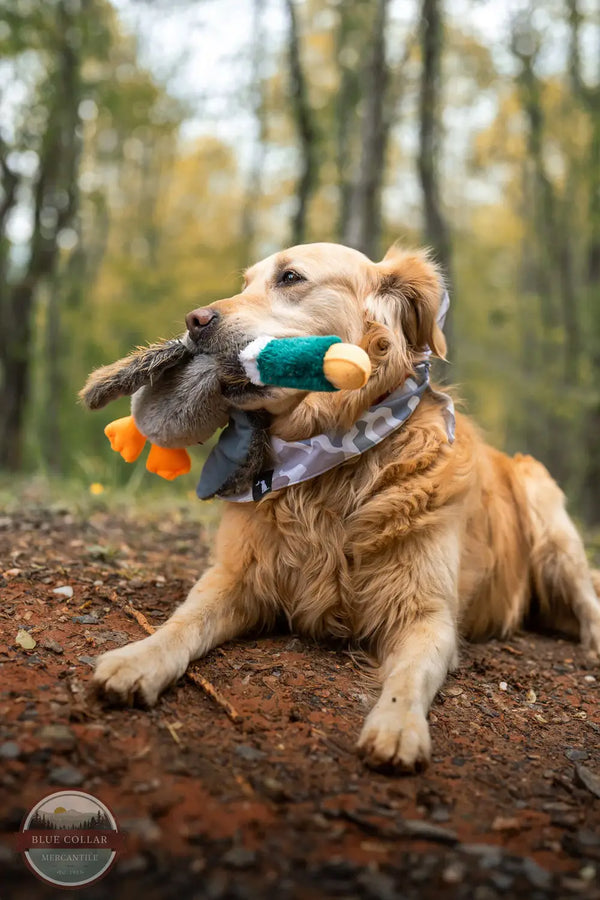 Local Boy Outfitters L2100037-MLT Duck Dog Toy, lifestyle