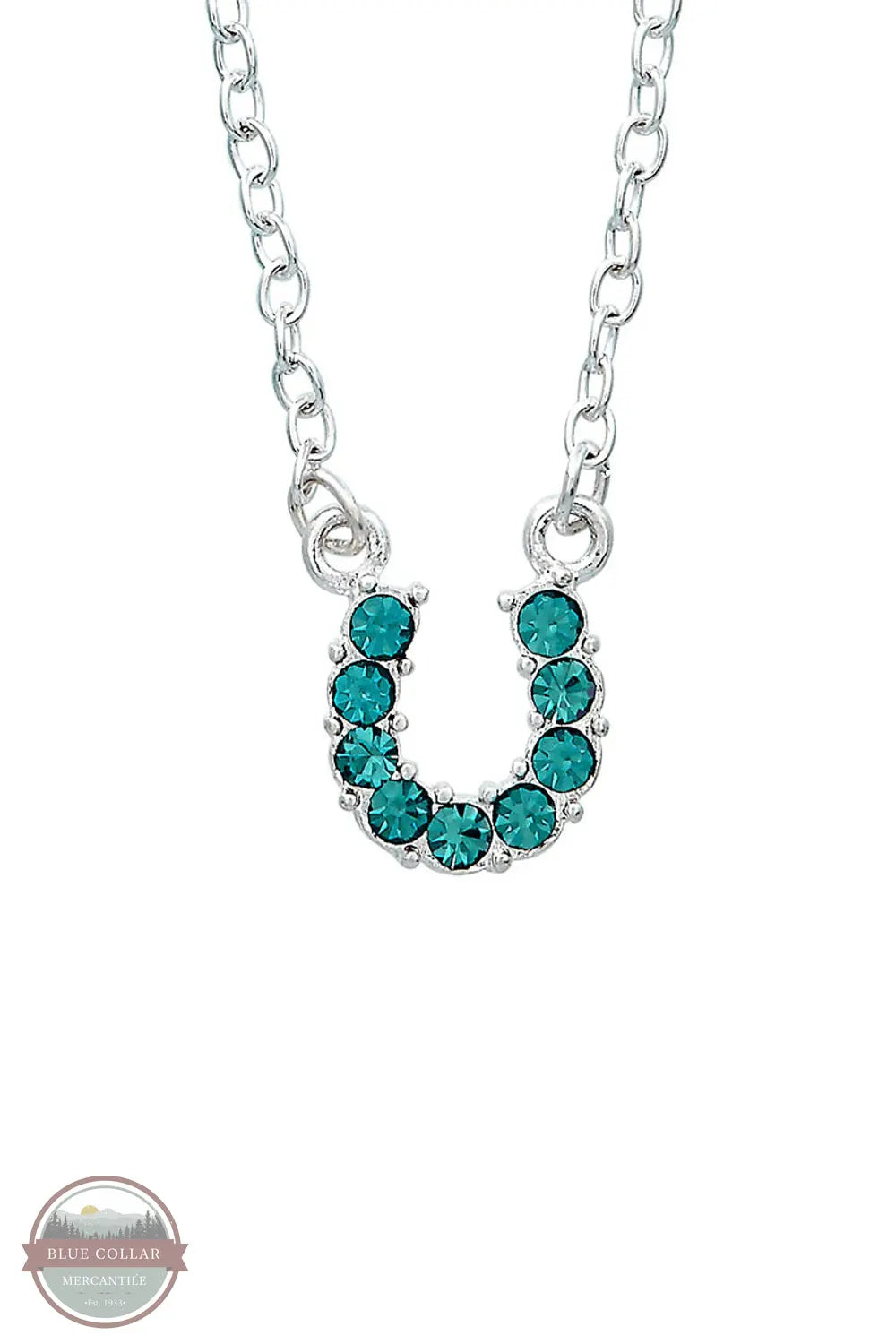 HN-10 Aqua Rhinestone Horseshoe Necklace in Pony Head Gift Box by Western Express necklace