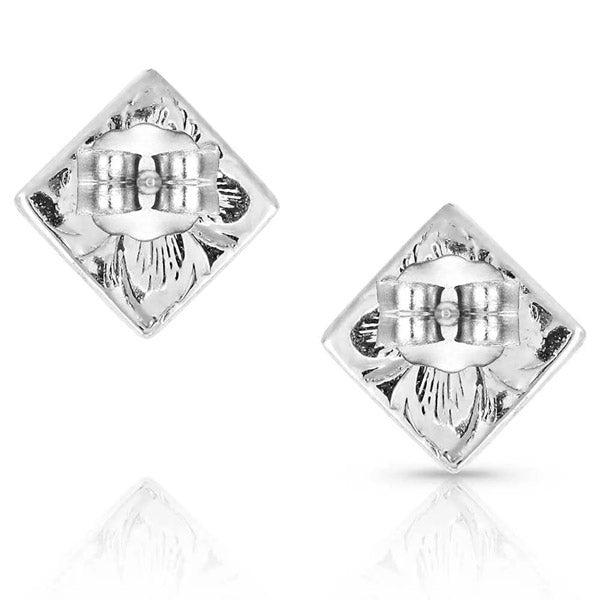 Montana Silversmiths ER5099 American Legends Studded Earrings back
