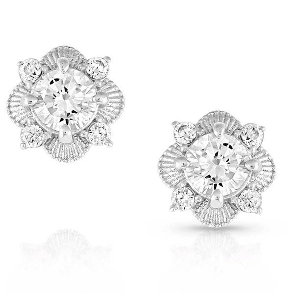 Montana Silversmiths ER5188 Makin' Memories Crystal Earrings