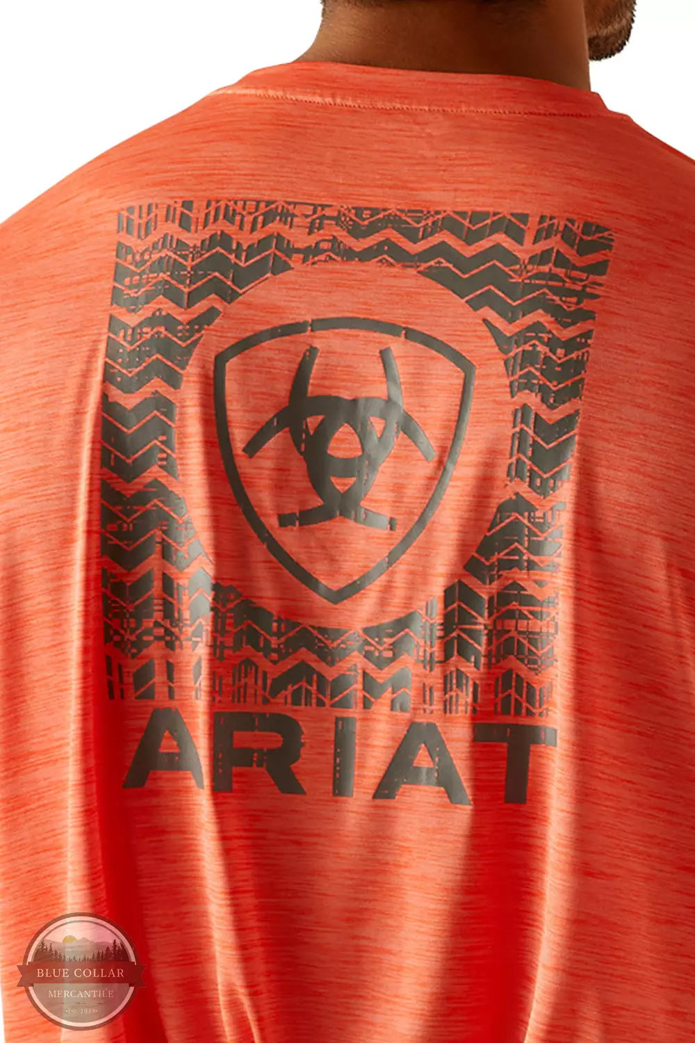 Ariat 10048536 Charger Ariat Shield T-Shirt in Hot Coral Back Detail View