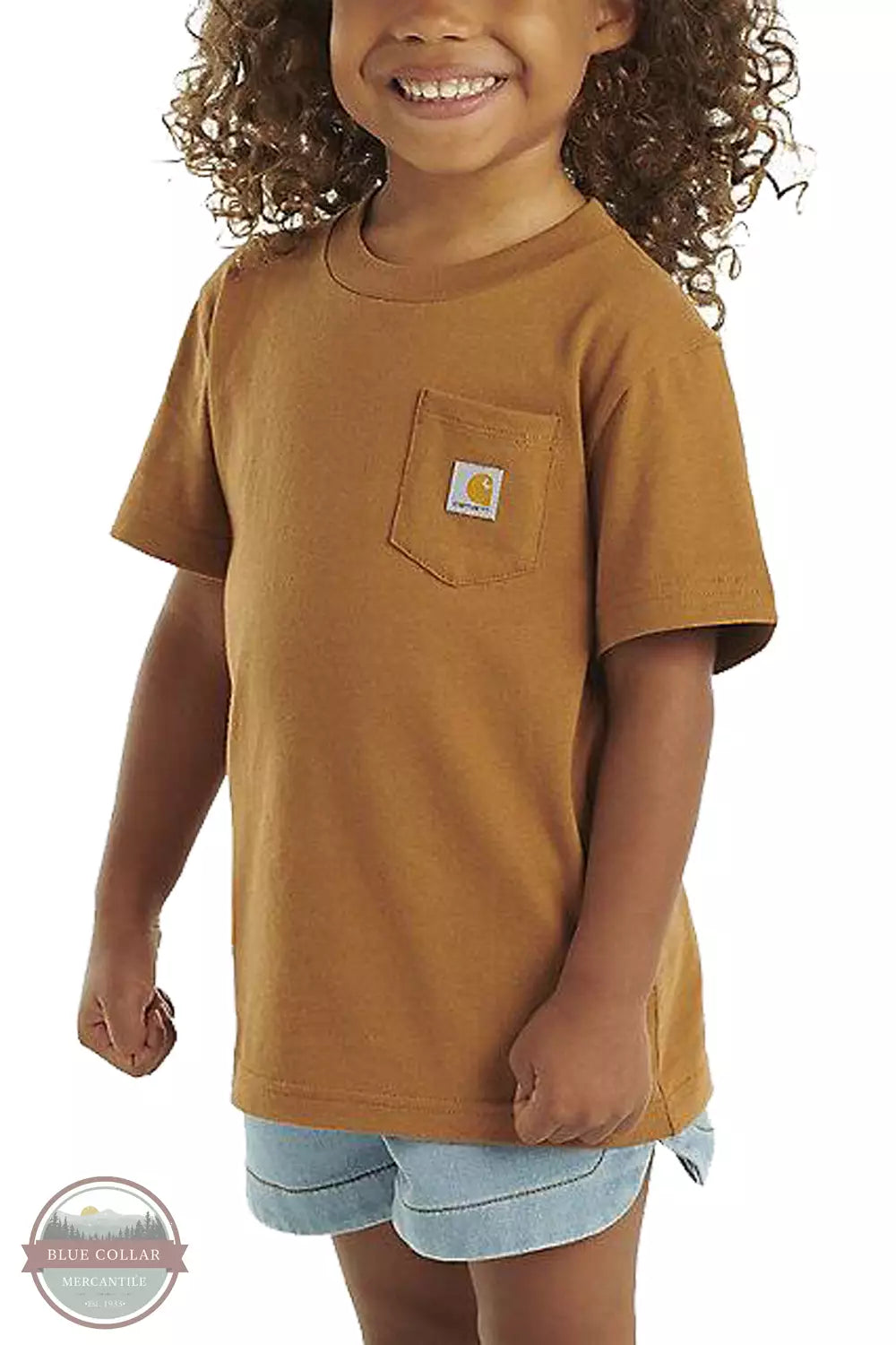 Carhartt CA6513 Pocket Short Sleeve T-Shirt Carhartt Brown Front View 2