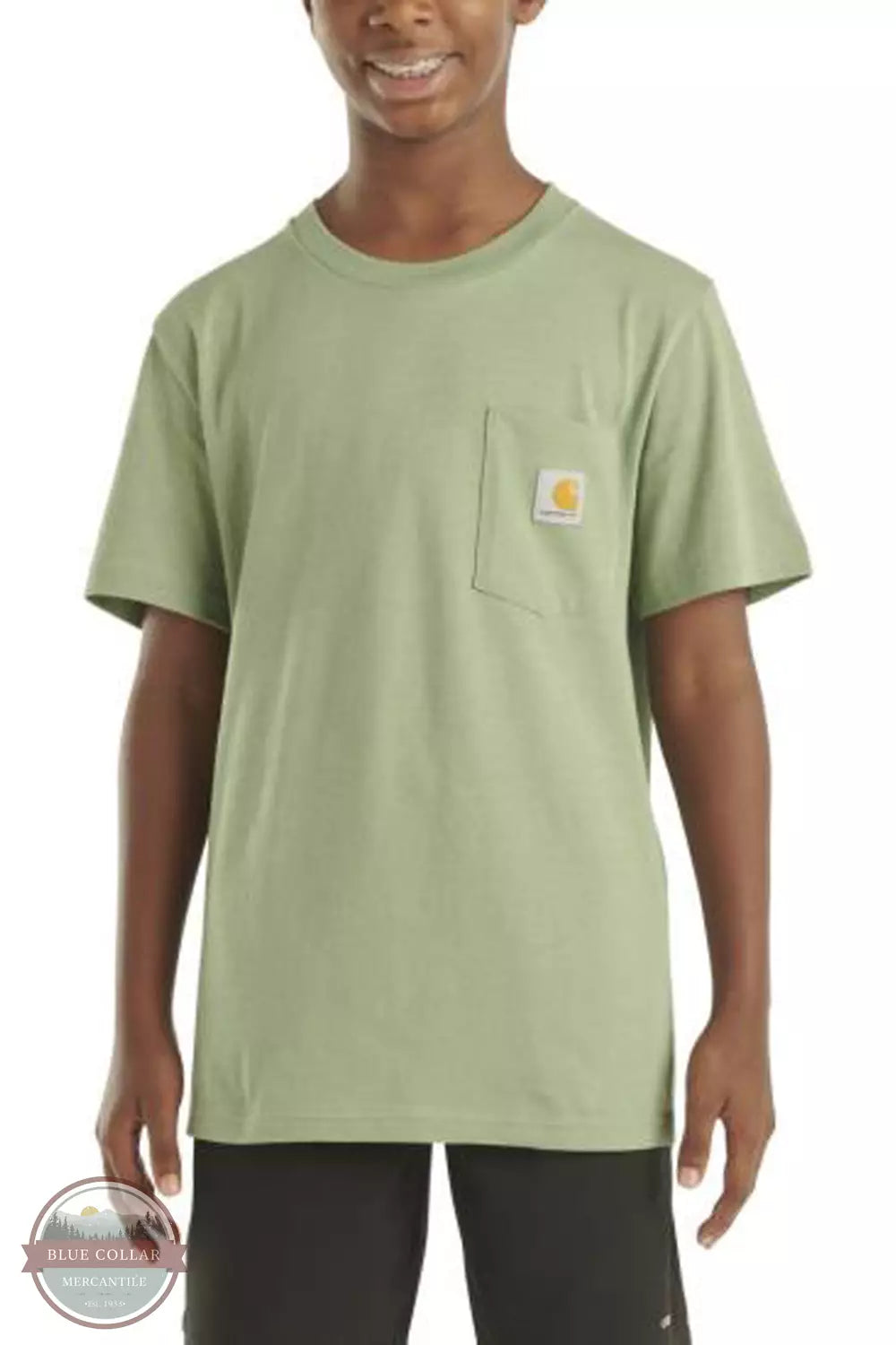 Carhartt CA6523-GF5 Wilderness Short Sleeve T-Shirt Front View