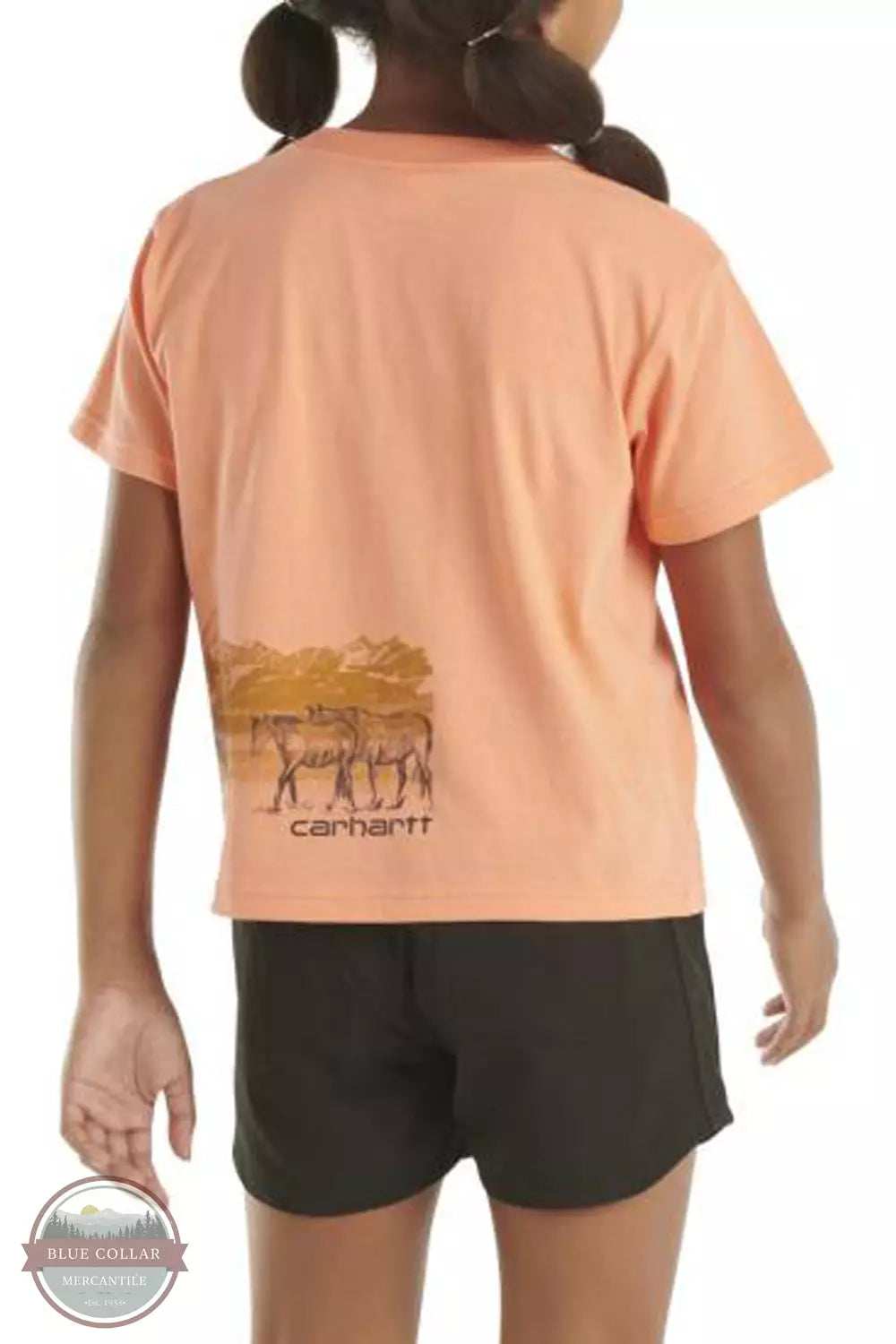 Carhartt CA7025-Q80 Herd Short Sleeve T-Shirt Back View