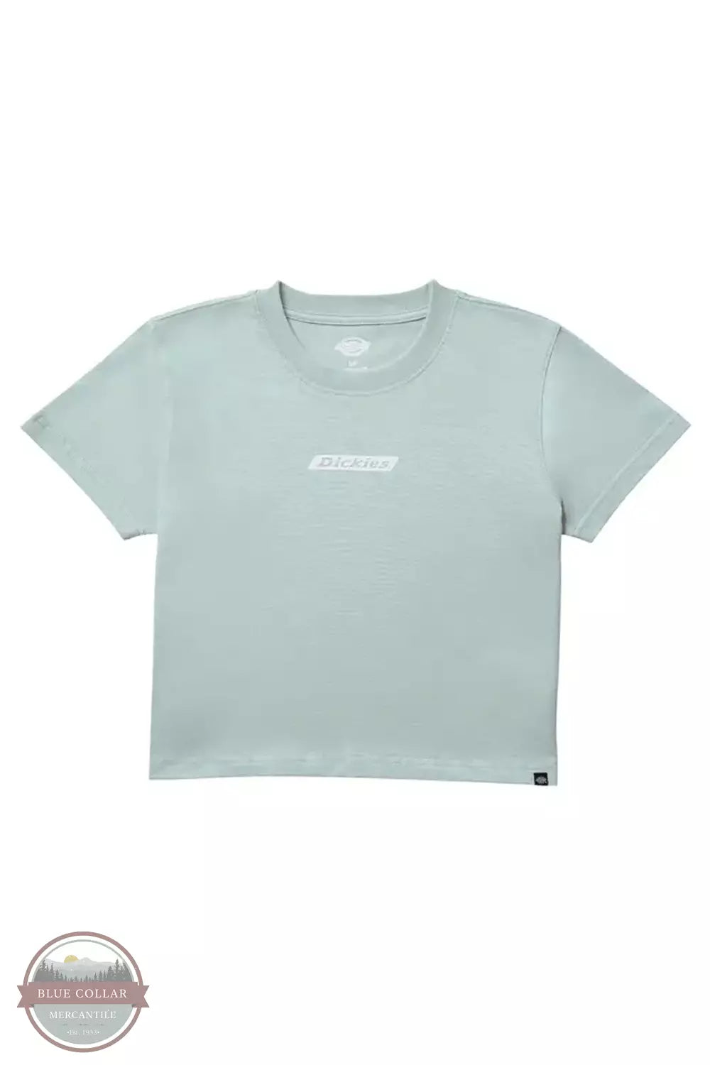 Dickies FS303SP1 Box T-Shirt in Surf Spray Front View
