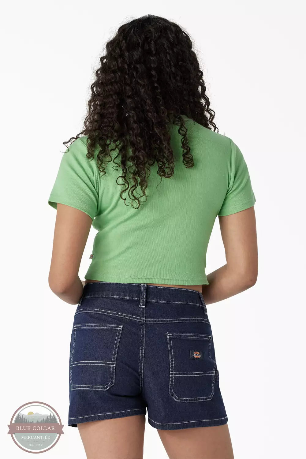 Dickies FSR64AR2 Butterfly Graphic Cropped Baby T-Shirt in Apple Mint Back View