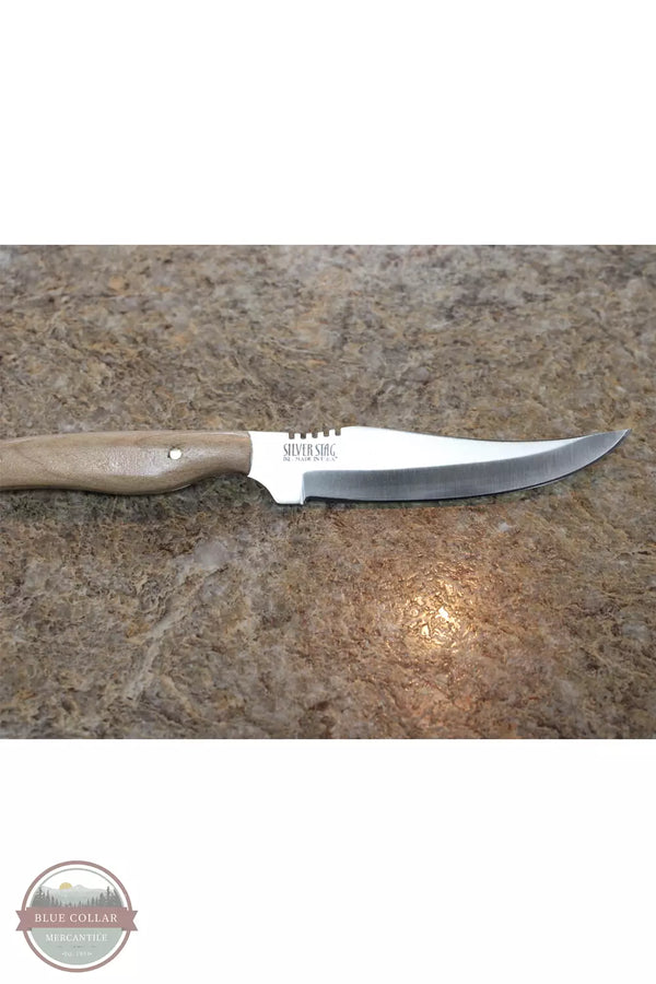 Silver Stag WPB4.25M Pro Bone Knife with Burled Maple Handle Detail View