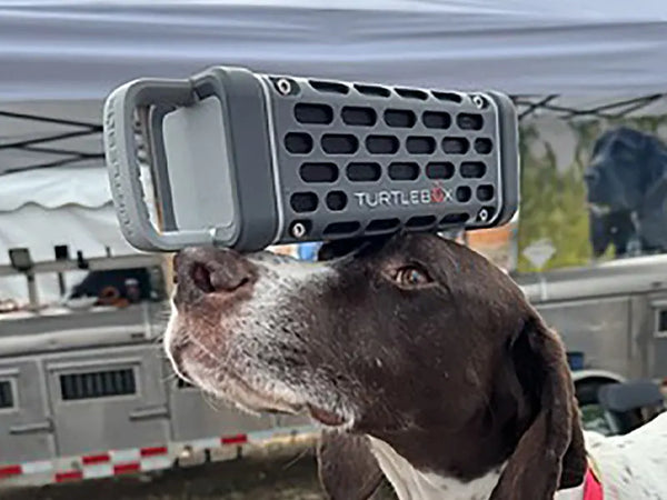 Turtlebox Audio Ranger on dogs nose available at Blue Collar Mercantile