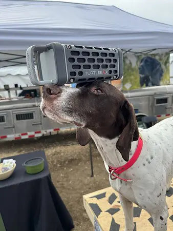 Turtlebox audio ranger waterproof bluetooth speaker resting on dogs nose
