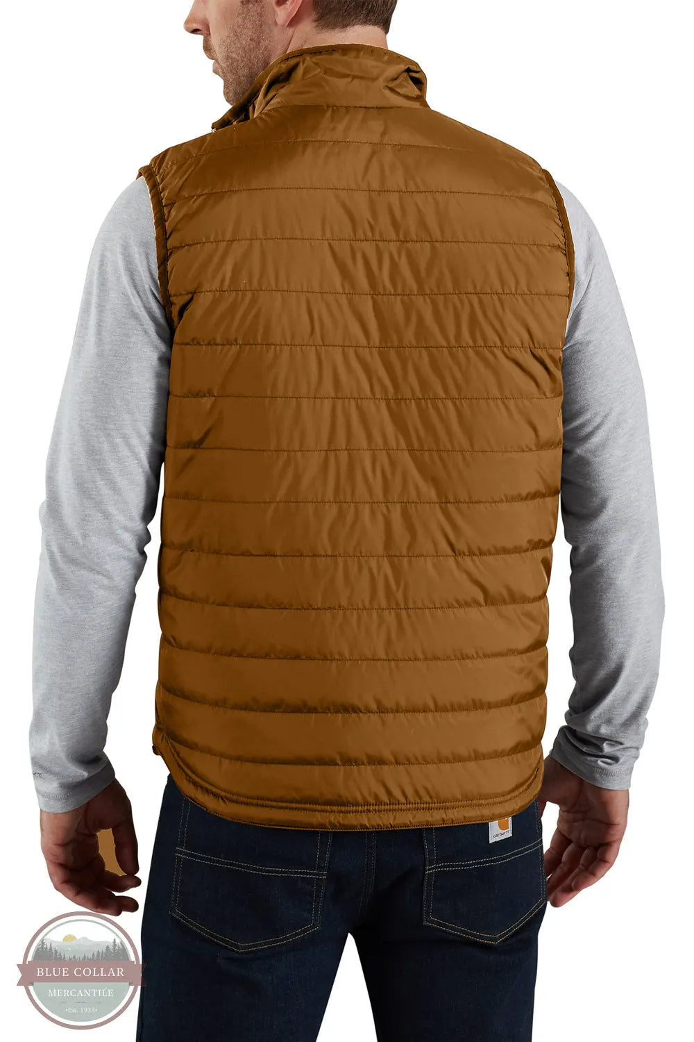 Carhartt 102286 Men's Rain Defender Insulated Vest - Relaxed Fit brn back of model view