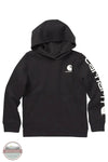 Carhartt CA6272 Sleeve Logo Hoody, black