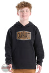 Carhartt CA6775 Boys Long Sleeve Graphic Hoodie K01 youth model front view