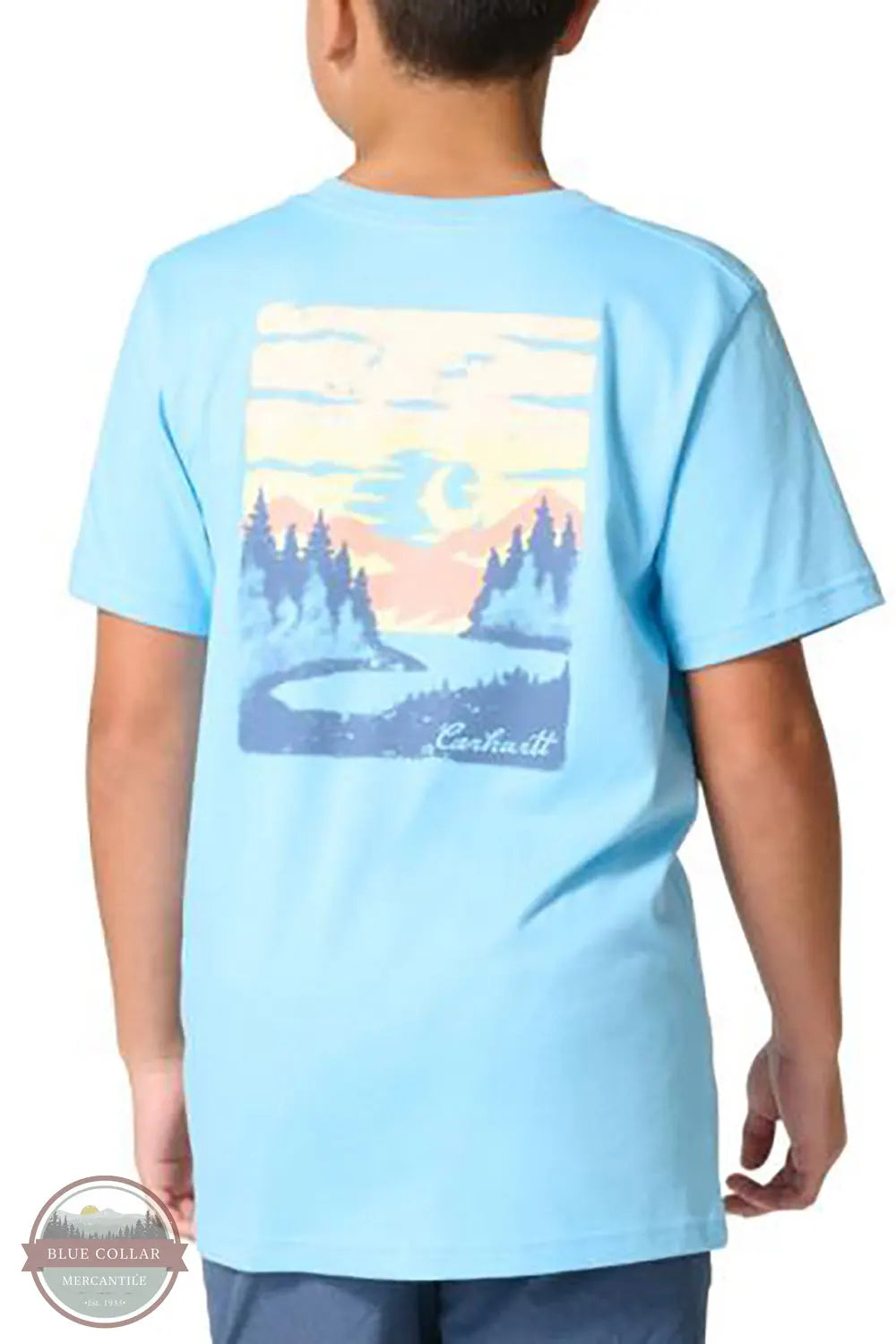 Carhartt CA6809-HS3 Boys Short Sleeve Mountain Landscape T-Shirt in Blue back view