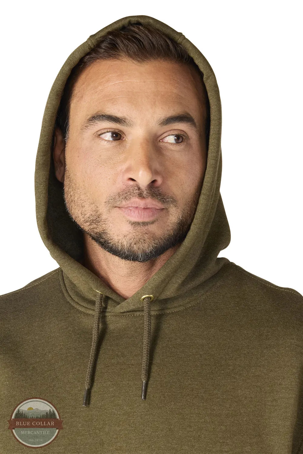 Carhartt K288-GO5 Loose Fit Midweight Logo Sleeve Graphic Hoodie Spring 26 Hood