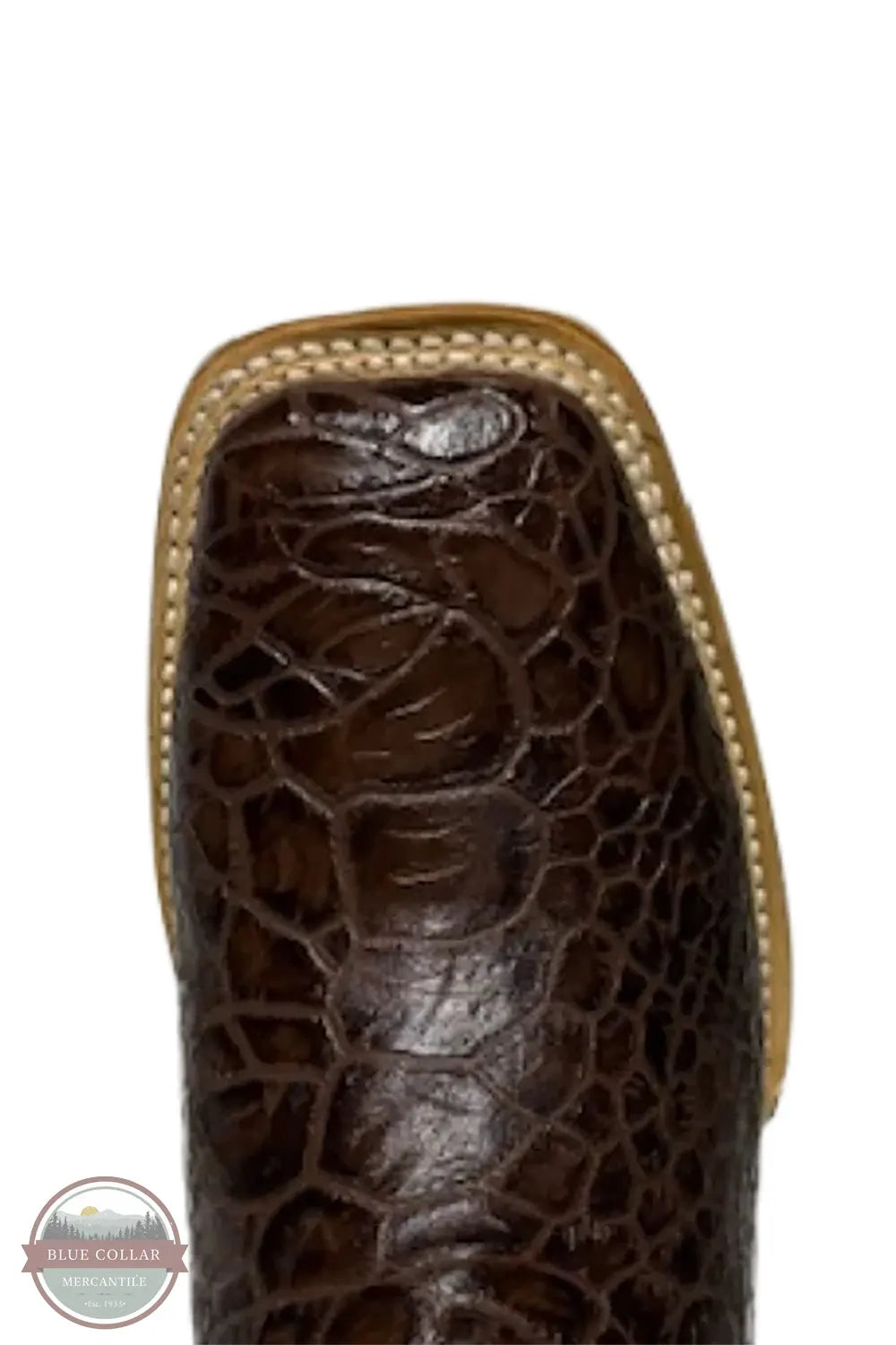 Cowtown Boots Q6044 Sea Turtle Print Square Toe Western Boot toe view