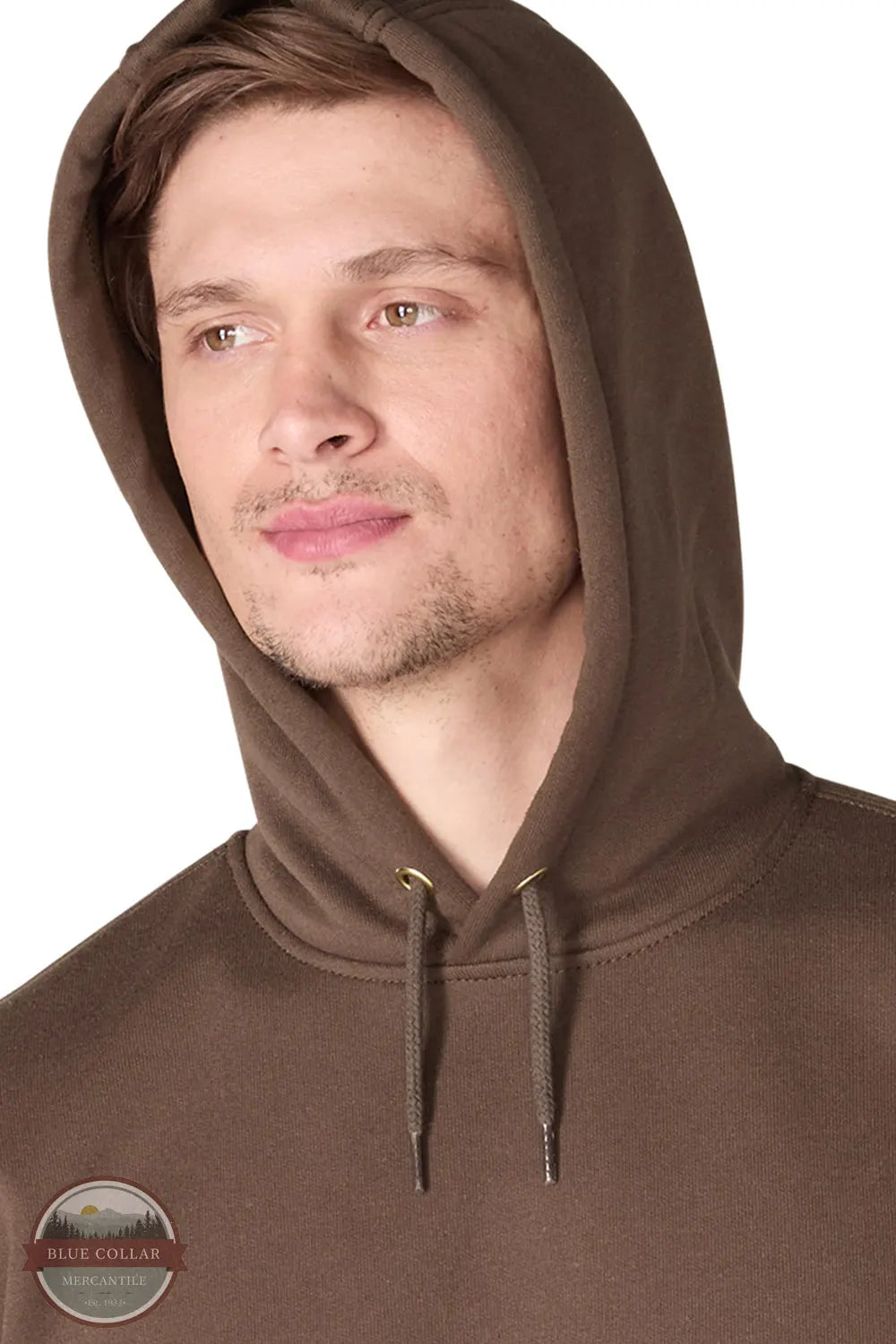 Carhartt Iconic K288-EE6 Loose Fit Midweight Logo Sleeve Hoodie for Fall Shown in Dark Clove hood detail