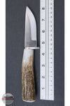 Silver Stag SF3.75ES Sharp Forest Elk Stick Handle Knife ruler