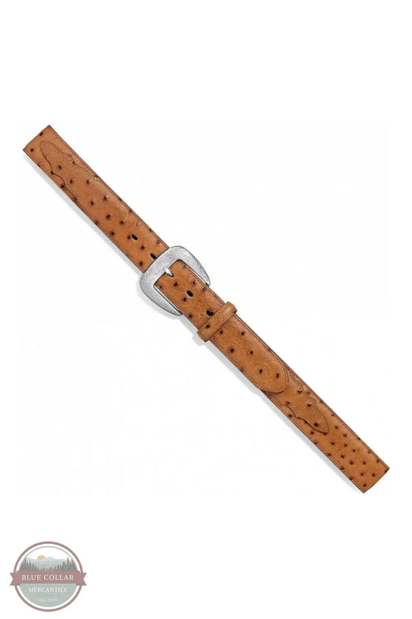 Tony Lama 1377L Ostrich Print Belt, buckle