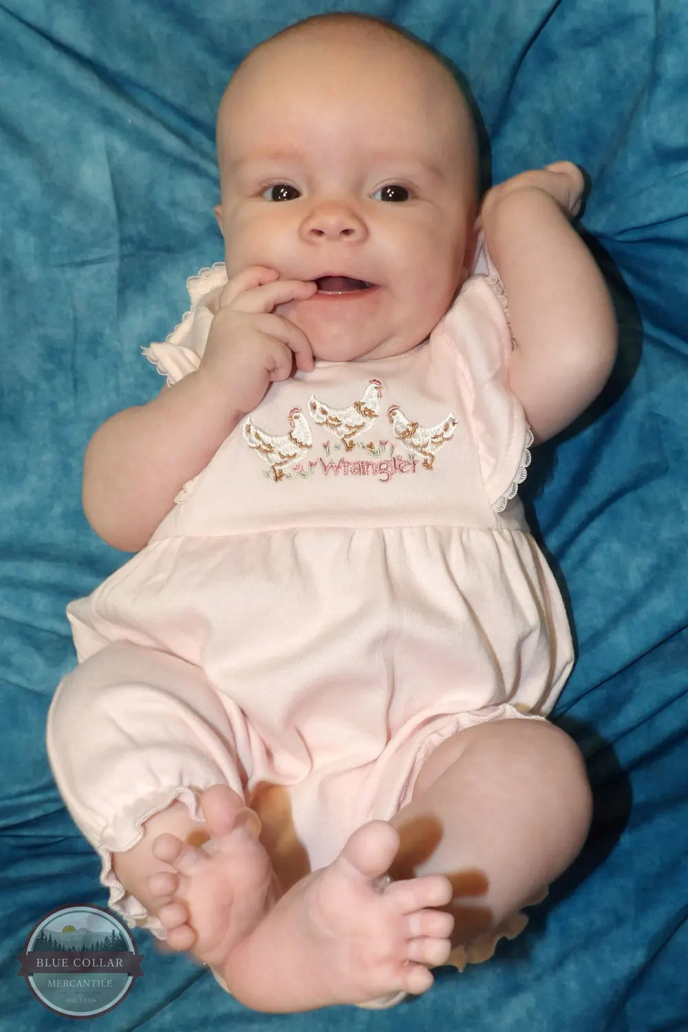 Wrangler Girls Infant Chicken Romper Set (2 Pieces) - HW1100013 infant in pink onesie with wrangler logo and 3 chickens