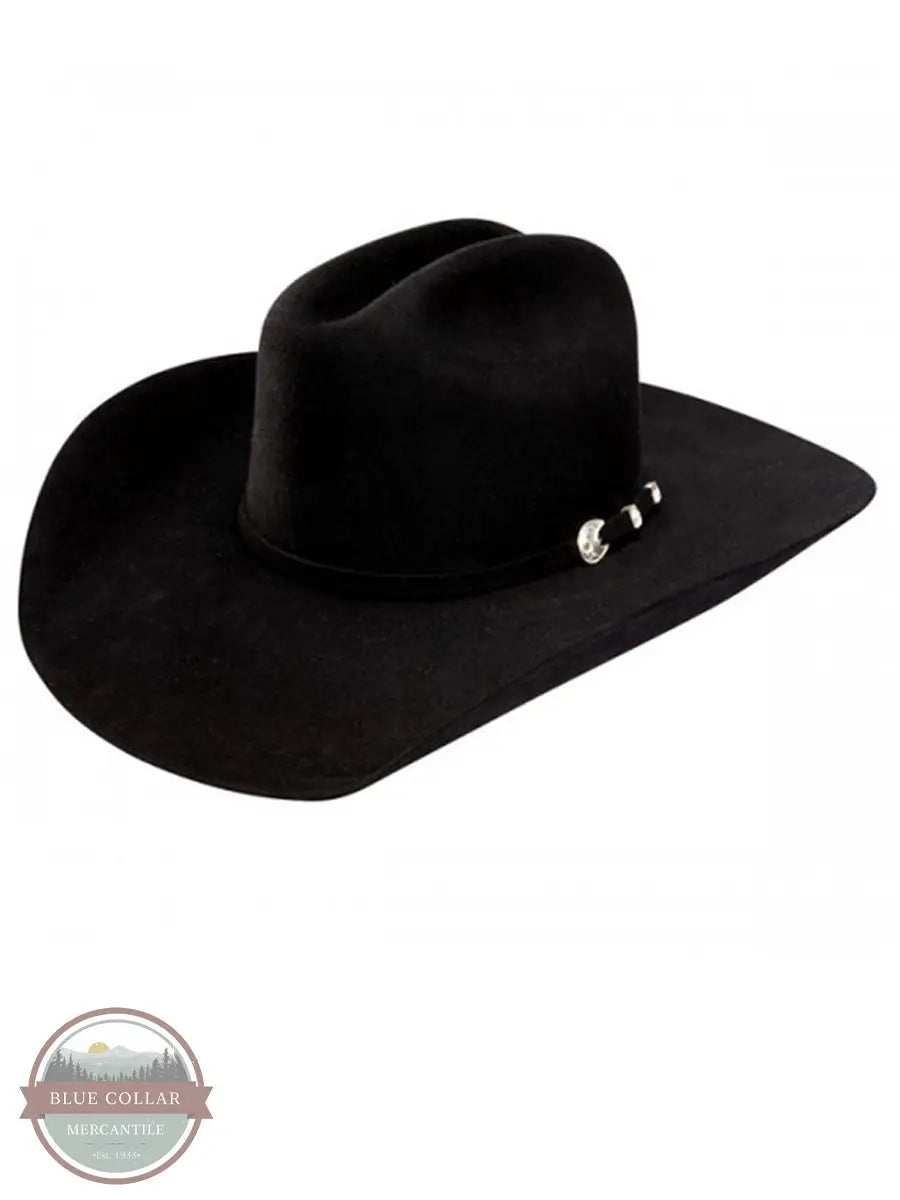 Stetson SBCRAL-9442 Corral 4X Buffalo Fur Felt Western Hat, Black profile